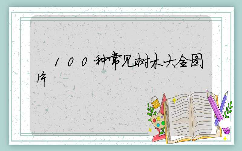  100种常见树木大全图片